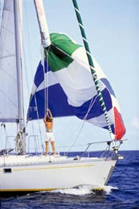 ATN Custom Spinnaker Sock